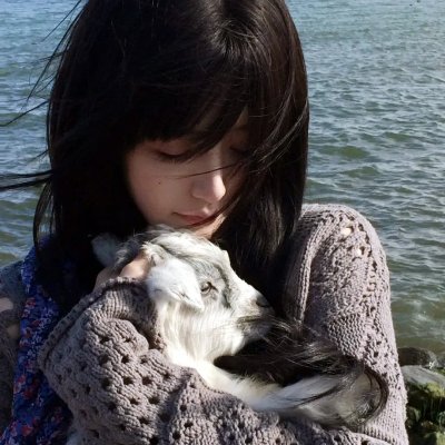 猪太狼的夏天